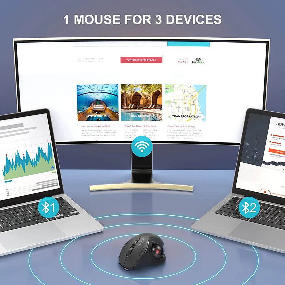 Ergonomic Trackball Mouse