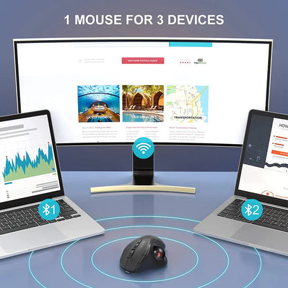 Ergonomic Trackball Mouse