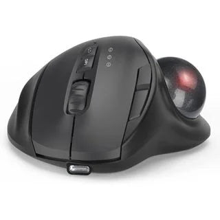 Ergonomic Trackball Mouse